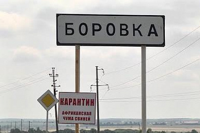 В Самарской области зафиксирована новая вспышка африканской чумы свиней 