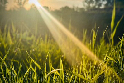 Народные приметы на 5 августа 2025 года: что нельзя делать в этот день 