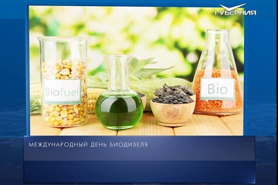 Календарь губернии от 10.08.2018