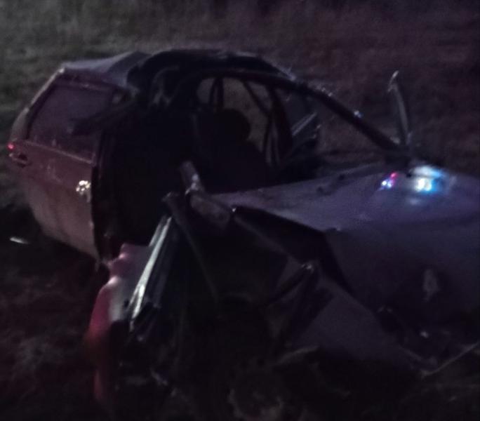 В Волжском районе 2 декабря водитель "девятки" сбил лося