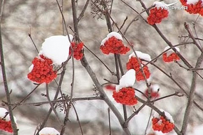 Эта зима в Самарской области стала практически самой снежной за последние 50 лет