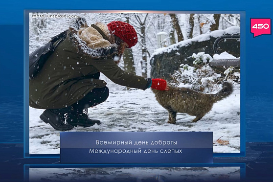 Всемирный день доброты. Календарь Губернии от 13 ноября