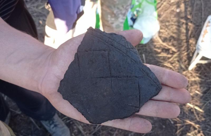 Чрезвычайно редкие артефакты: археологи рассказали, что нашли при раскопках в Самарской области