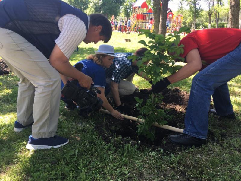 100 саженцев каштанов украсят парк "Дружба" в юбилейный год ТРК "Губерния"