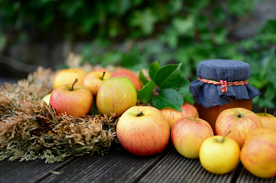 В Самарской области собирает гостей "Яблочный фест"