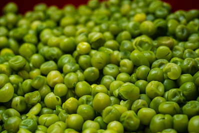 Зеленый горошек улучшает работу кишечника и снижает риск развития онкозаболеваний