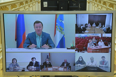 Общественные наблюдатели рассказали губернатору о ходе голосования по поправкам в Конституцию