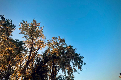 Погода на 2 июня 2025 года: народные приметы и прогноз синоптиков