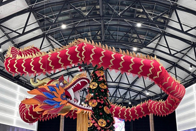 Дома или в путешествии "на широкую ногу": россияне рассказали, как и где отпраздновали Новый год