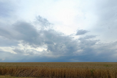 Название статьи