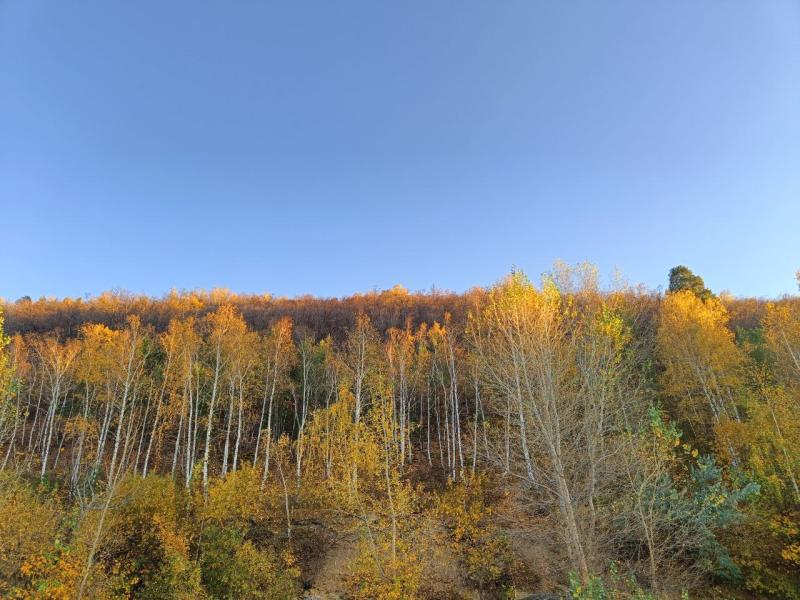 В России продолжаются поиски семьи Усольцевых с 5-летним ребенком