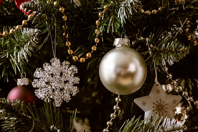 Специалисты рассказали, как выбрать качественную искусственную елку