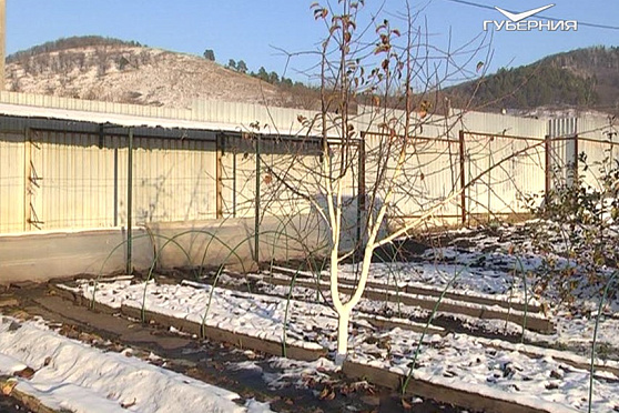 Завершаем садово-огородный сезон. Дачные советы