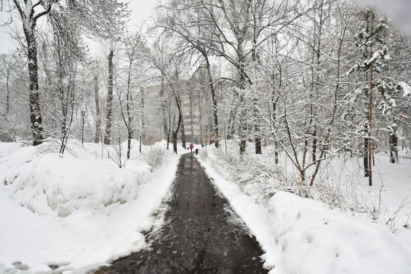 Снегопад в Самарской области продолжится 17 декабря