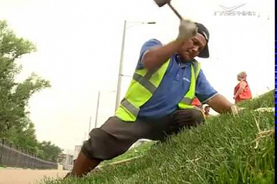 На склоне у Ботанического сада в Самаре уложат рулонный газон