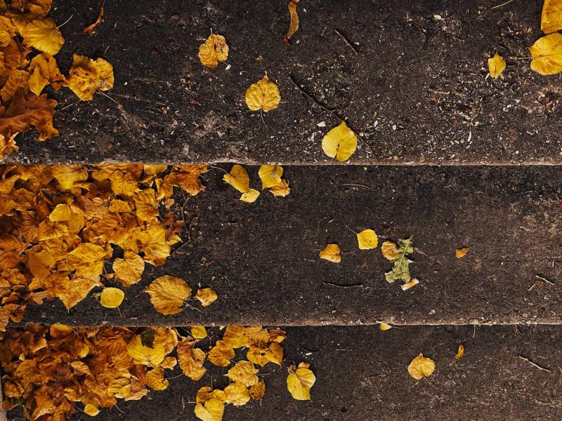 Погода на 12 октября 2025 года: народные приметы и прогноз синоптиков