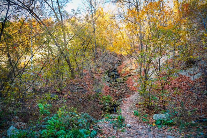 В Самарской области сохранится наивысший класс пожароопасности лесов до 21 октября