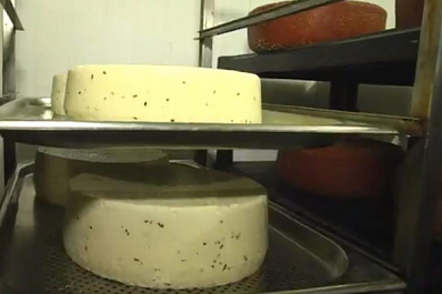 Участники проекта "Поехали!" узнали секреты производства деликатесов в Волжском районе