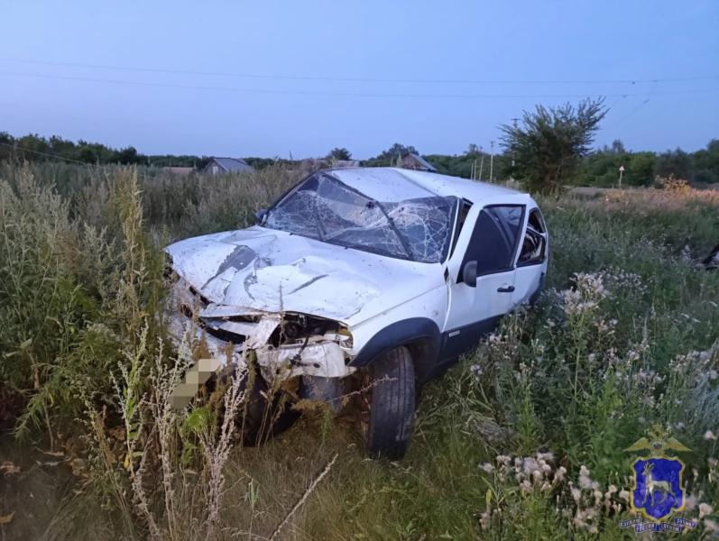 В Самарской области "Нива" опрокинулась в кювет и влетела в столб