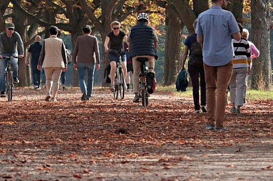 В Ставропольском районе реконструируют сельский парк 