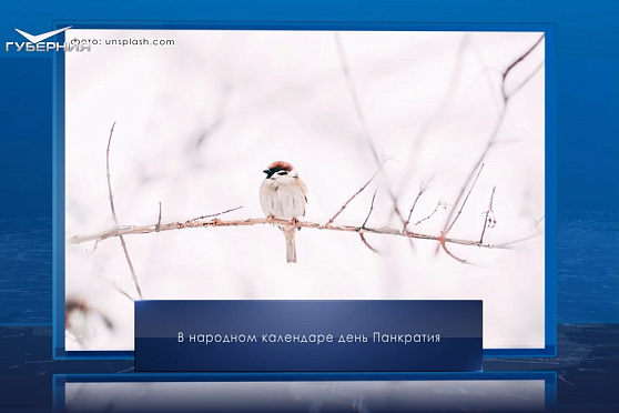 День Панкратия. Календарь Губернии от 22 февраля