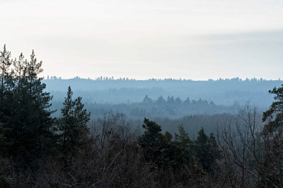 Народные приметы на 27 февраля 2025 года: что нельзя делать в этот день