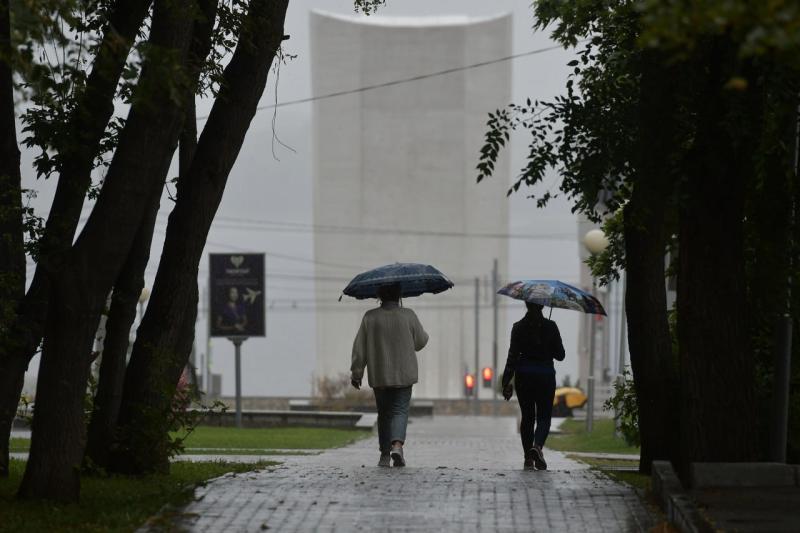 Трихолог рассказал о причинах осеннего выпадения волос