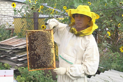 Дмитрий Азаров сообщил об увеличении финансовой помощи семьям по соцконтрактам в 20 раз