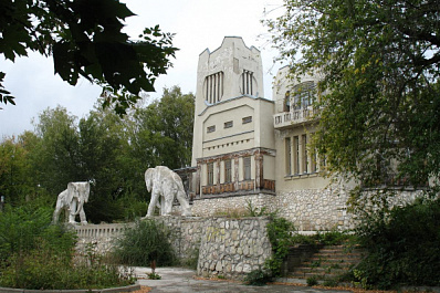 В Самаре дом со слонами взят под государственную охрану