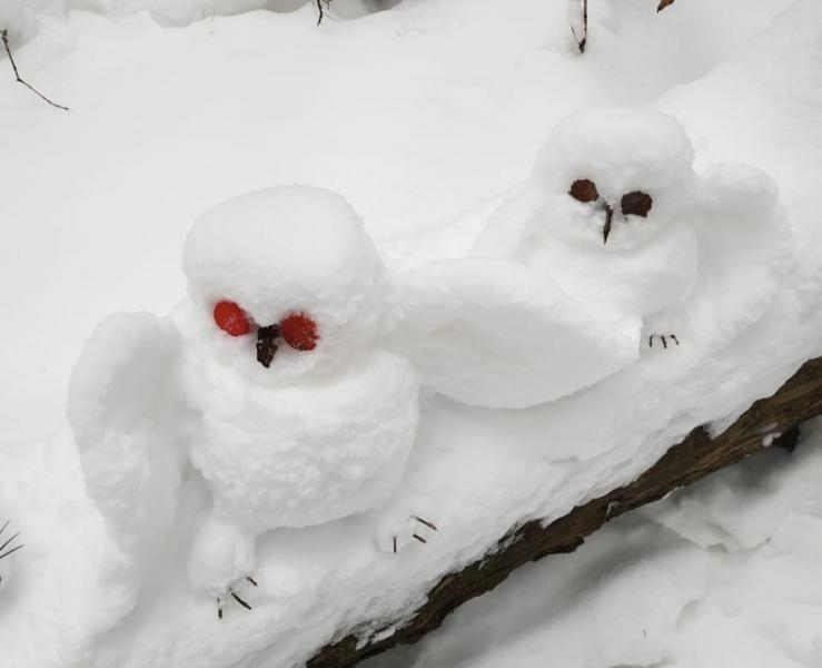 Совята, медведь и выдра: в Сызрани появился снежный "скульптор"