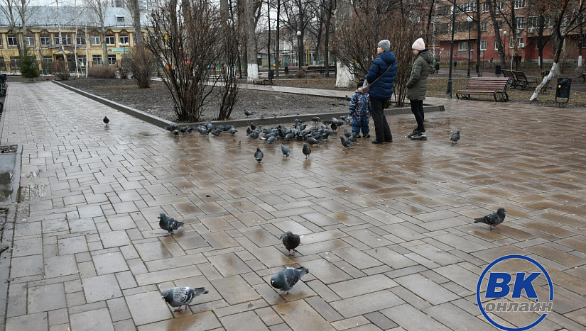 24 марта в истории и архиве "ВК"