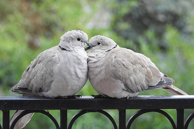 Лавка влюблённых появится в Самаре на Красной Глинке