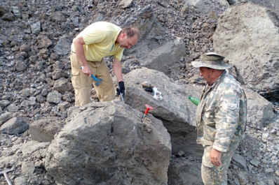 В Самарской области нашли останки ихтиозавра