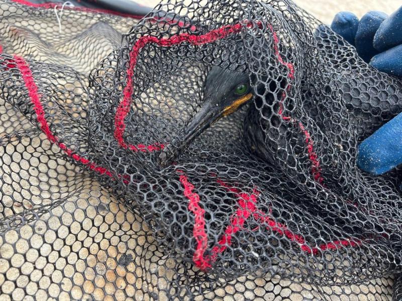 Волонтер из Сызрани рассказал об обстановке на Черноморском побережье