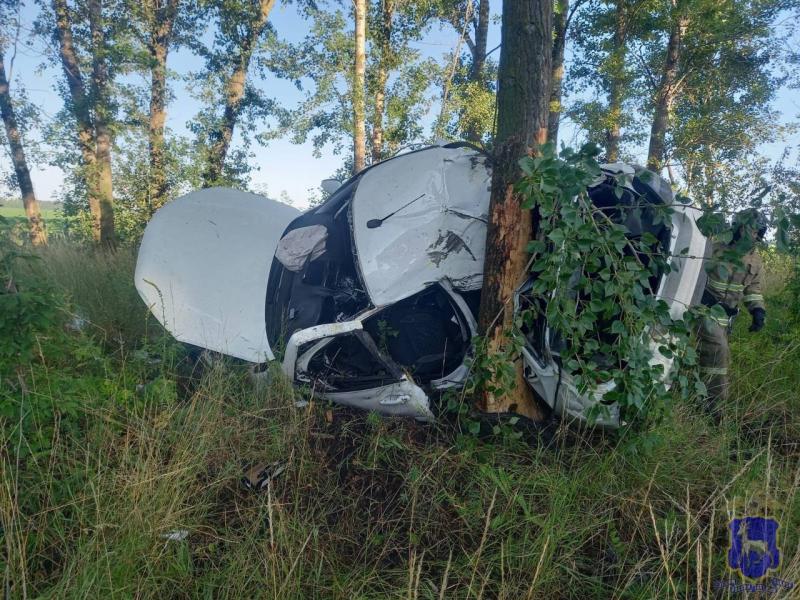 В Самарской области 6 июля водитель "Гранты" разбился насмерть