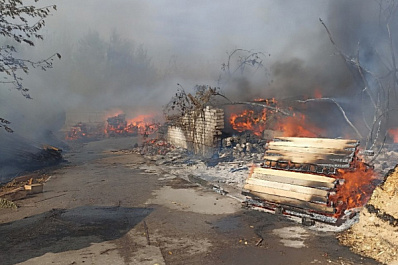 В Самарской области горит деревообрабатывающее предприятие на площади 650 "квадратов"