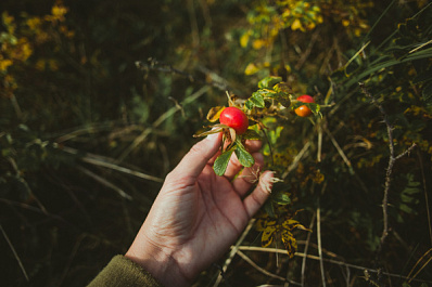 Эксперты назвали 5 продуктов с витамином С