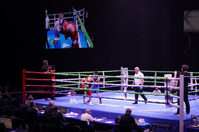 6 ноября в Самаре пройдет турнир по боксу