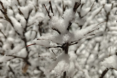 В Самарской области 19 декабря ожидается гололед и снег