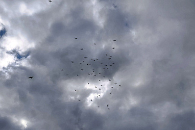 В Самарской области 9 октября будет тепло и пасмурно