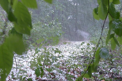 Сильный ветер и град ожидают Самарскую область в ближайшие часы