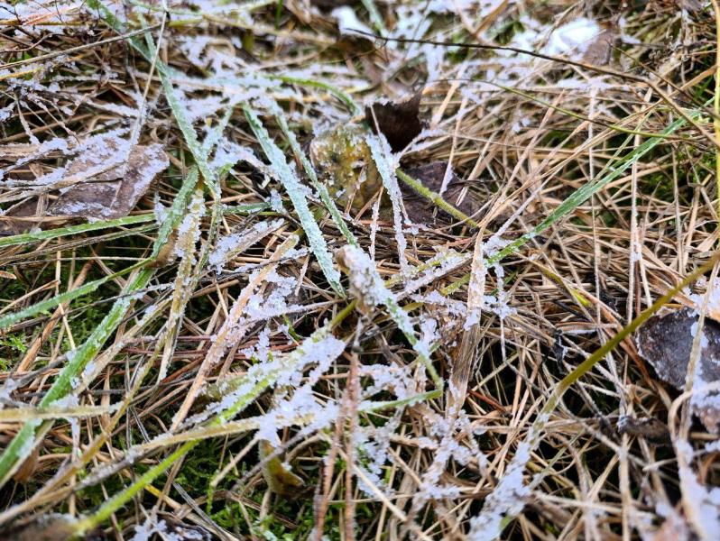 Народные приметы на 25 ноября 2025 года: что нельзя делать в этот день