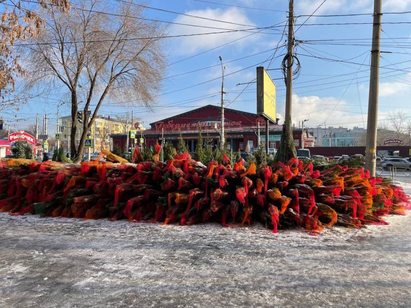 В Тольятти 15 декабря начнут работать елочные базары