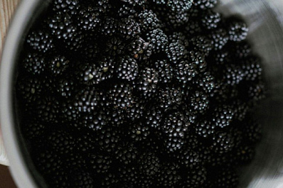 Эксперты рассказали о пользе ежевики