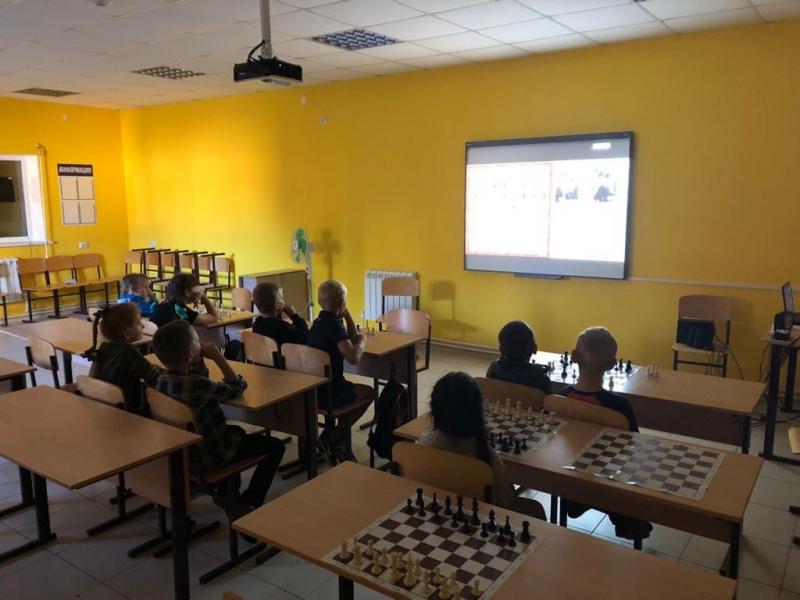 Кинельский педагог организовал онлайн-курсы по шахматам для детей