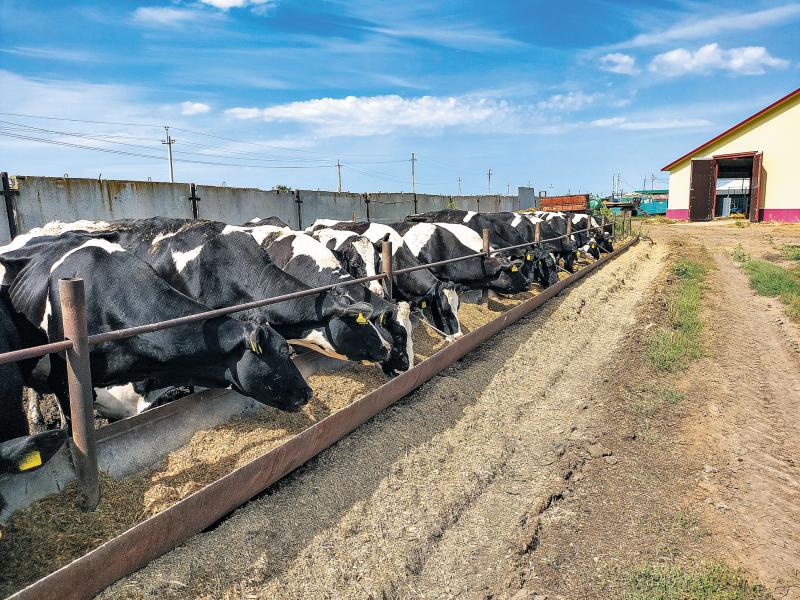 Сельский апгрейд: аграрии Самарской области ставят рекорды