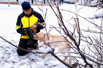 В Самарской области выдают призы победителям викторины "Вакцинация - это жизнь!"