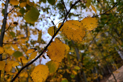 Название статьи