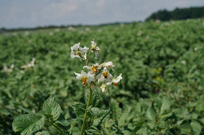 Минсельхоз: 