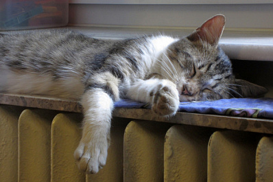 В одном из жилых домов Самары по просьбе жильцов наладили отопление 